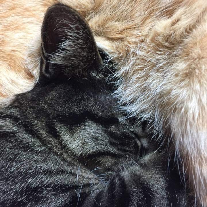 612bbafb 51ae 4b35 b4c0 28f0b13b8934