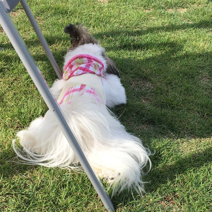 612bc345 3c5d 48ee b79d e7995b5e26af