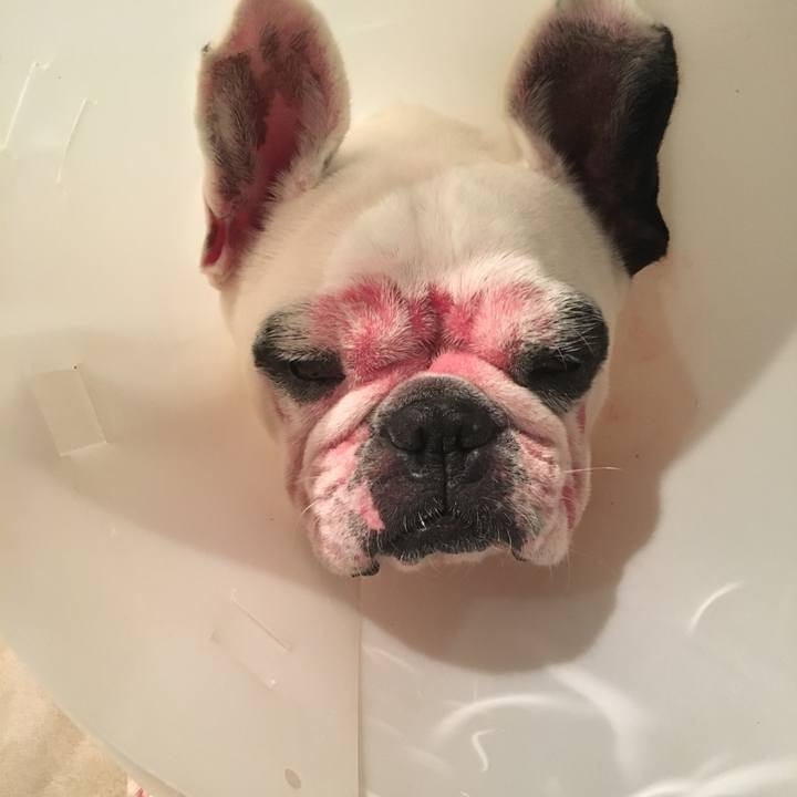 612c275c 51d9 4df5 b4c2 7515f6960db8