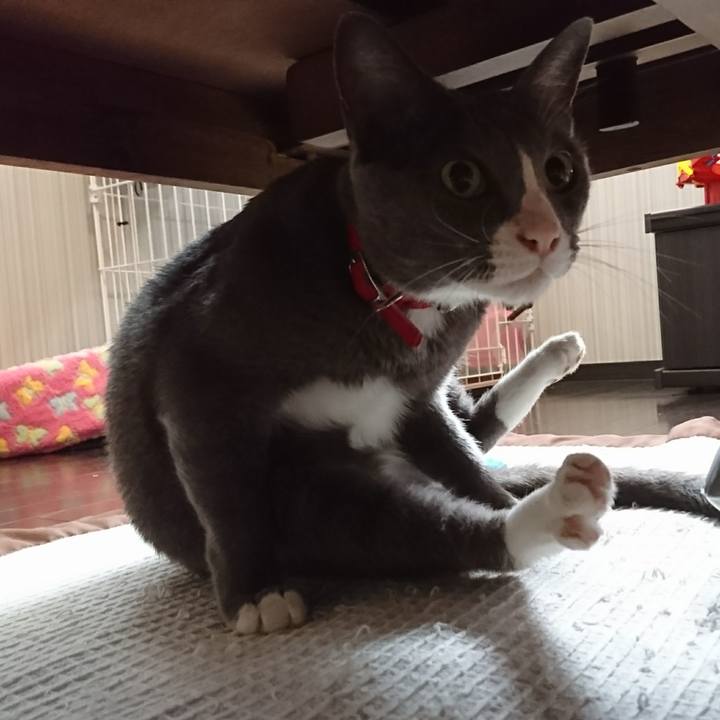 612c4679 c2e7 4b1c 88c3 6ce4fcd4d099