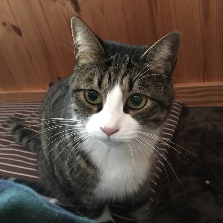 612caf84 4072 46ca b118 3c600201c56b