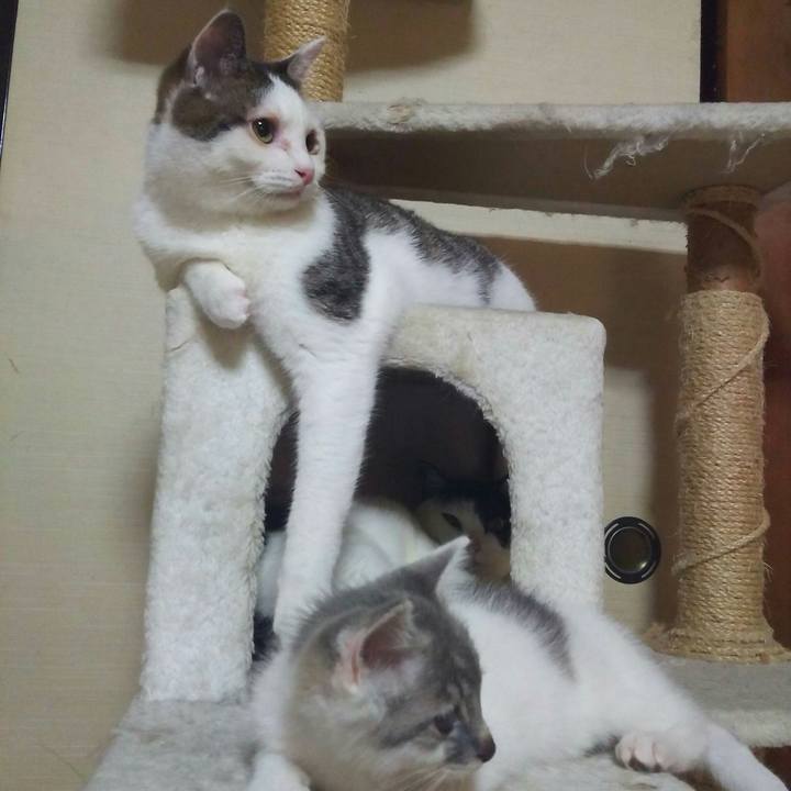 612d059e 19d1 49dc aaab 5088d9f9bae0