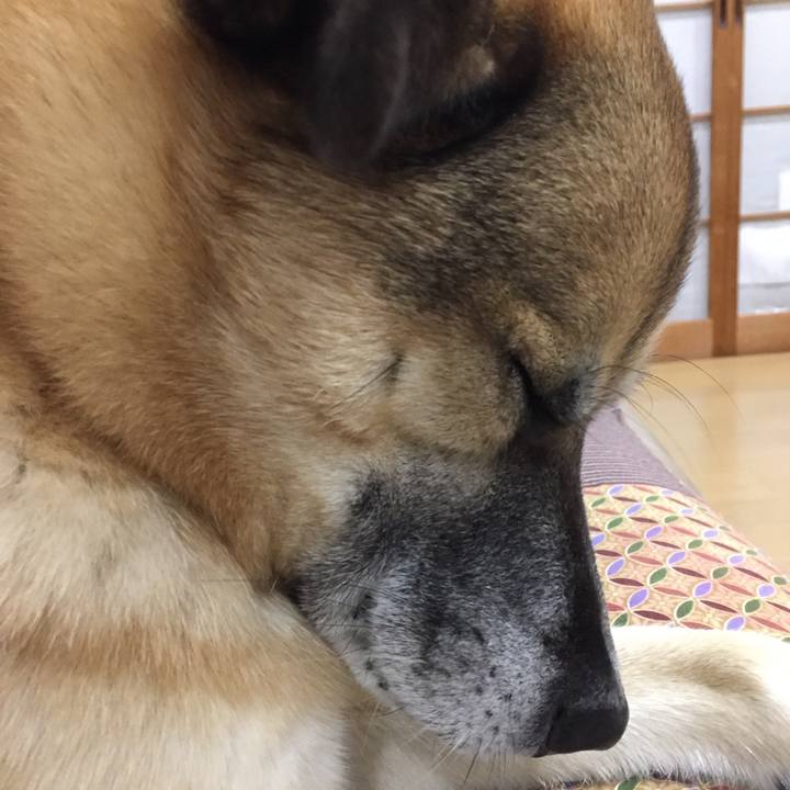 612d0e04 91a2 4abf 90bd ea8ec2b9ef5d