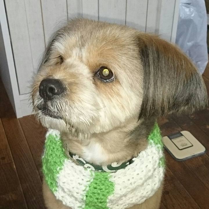 612d146f e570 4b47 8b66 300392e8e9ba