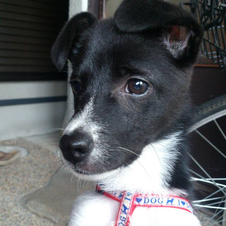 612d2c9e 2ac7 42fb b683 ef08073eee65