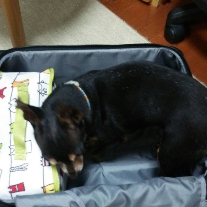 612d36d6 811f 4b1e 8c01 99c260bc739b