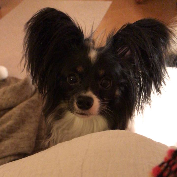 612e3b81 b369 484d a2b0 e362dc1000ea