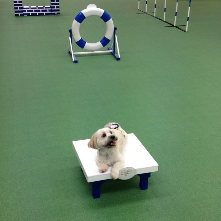 612e5834 5f96 4303 b41c c8a55de6240a