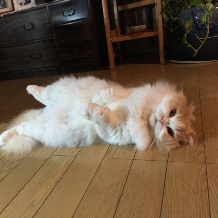 612ead05 1556 437c 9719 97fc5948ec25