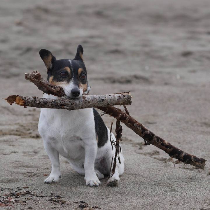 612ec779 13d7 4154 afe4 83ca60899db1