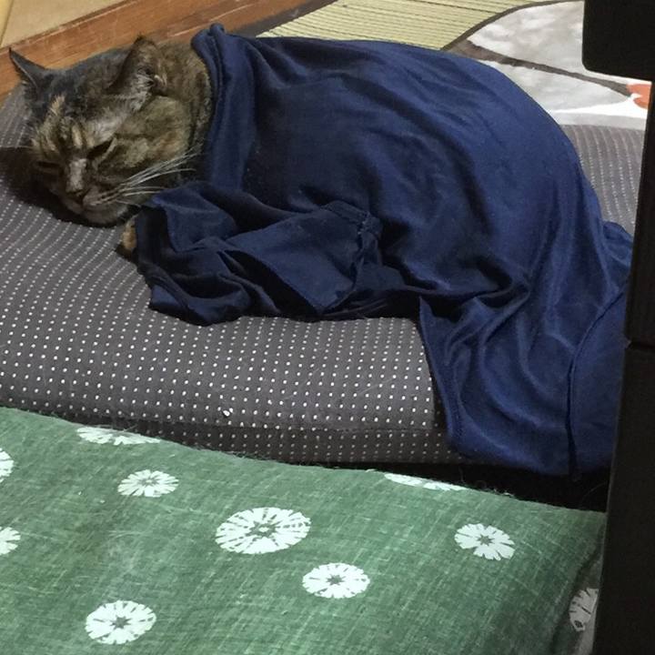 612ee6cf f63c 4171 a8fd 84c8ccc4cad6