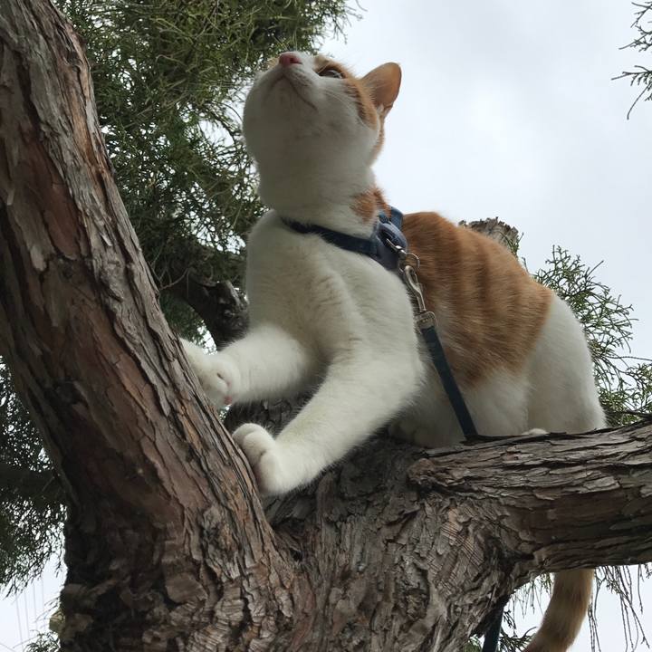 612eea18 0c99 40dc b494 963a2da1669f