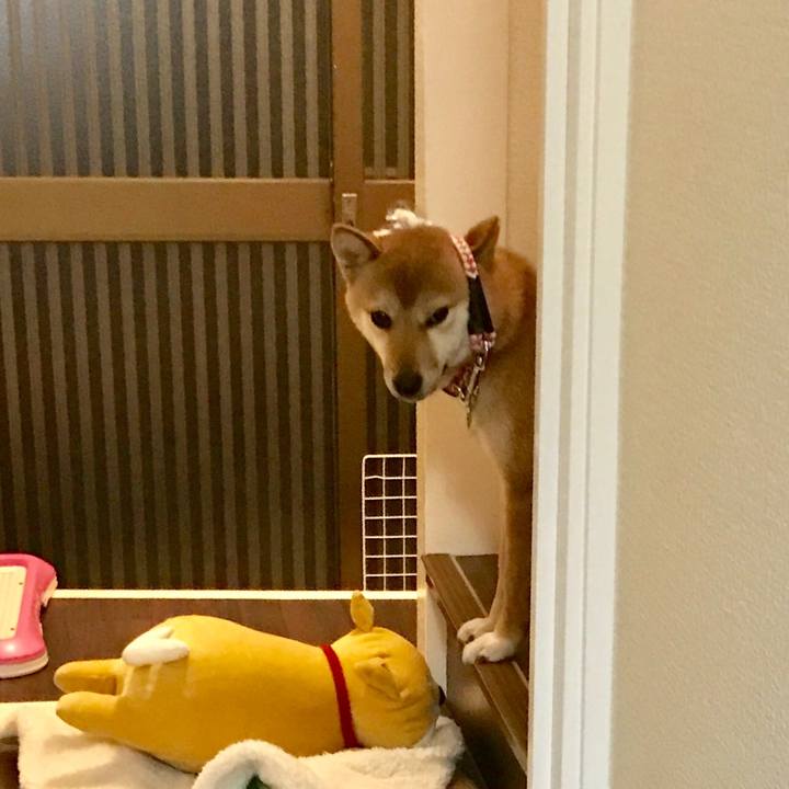 612fa09e 78ce 4795 96f6 042972d2ddfc