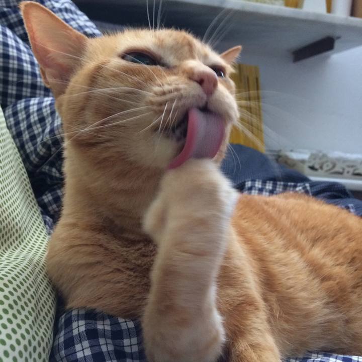 612fb954 9760 40fb bafb 4a12327cd5f0