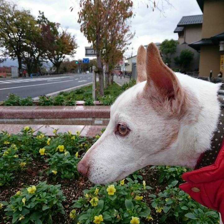 612ff25b 963c 4fee ac6a f05a77eec9ff