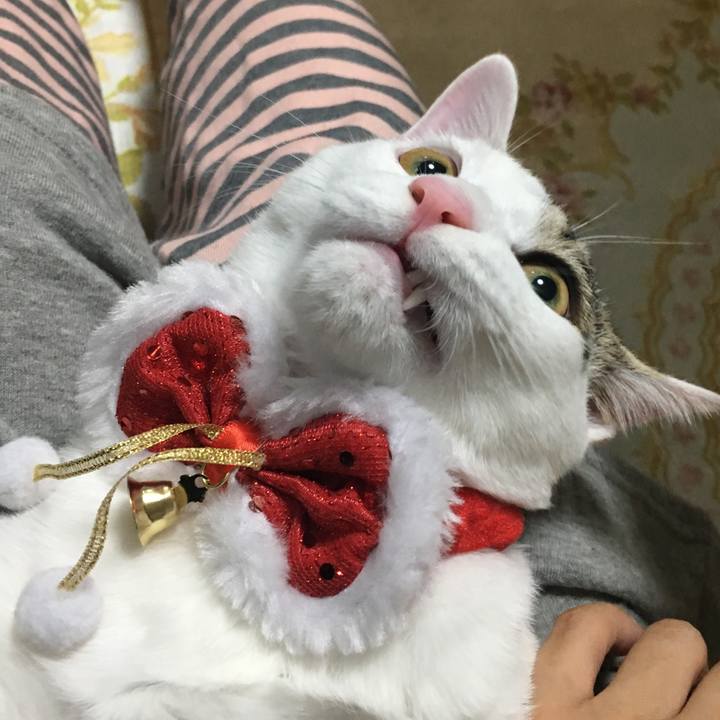 6130ac7c 6ebd 4ae9 be15 b366691d4d6e