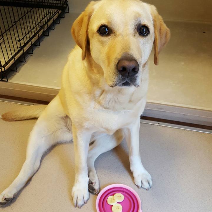 6130aef5 137a 47e4 9bba 5ed0125eed34