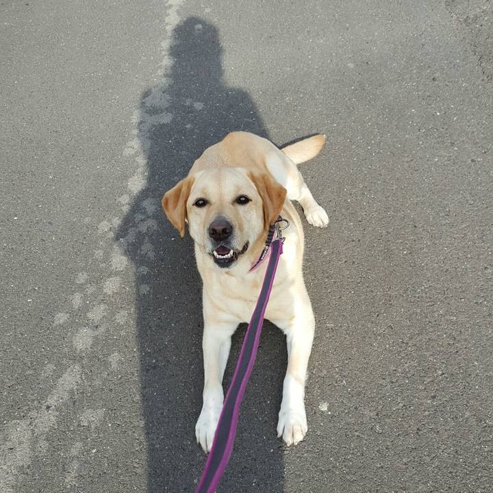 61316aa4 cb64 4f63 82d1 50378dd8d652