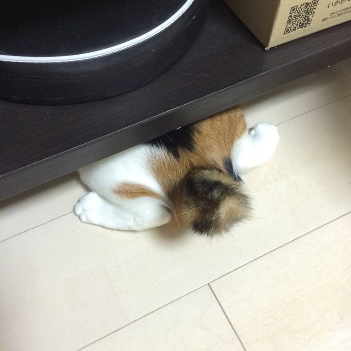 6131d308 7964 43af b248 1d2511e0d2a8