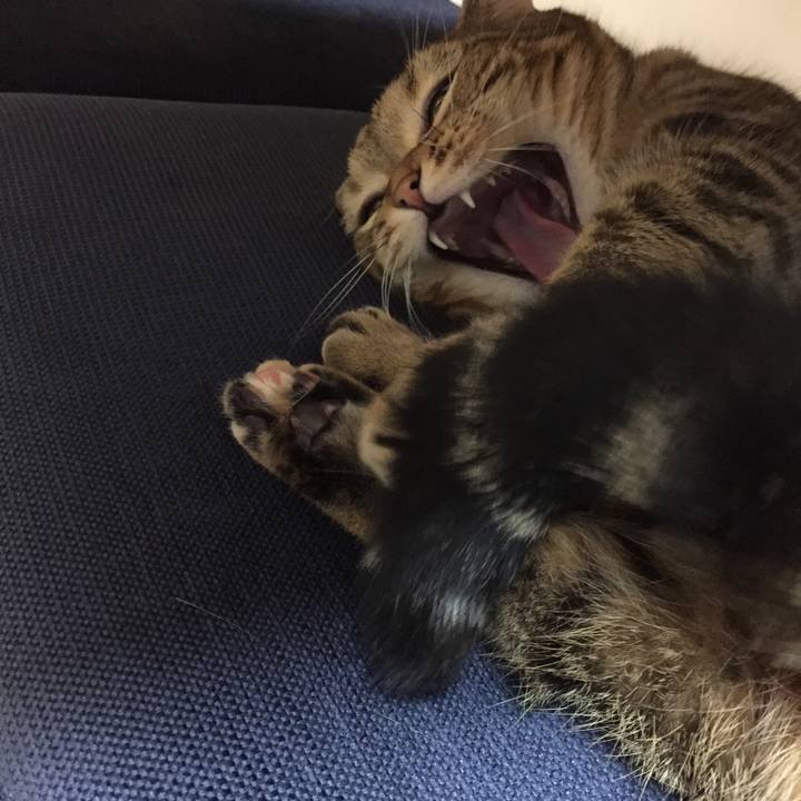 61321155 8413 4d35 a0af c9911c5fce98