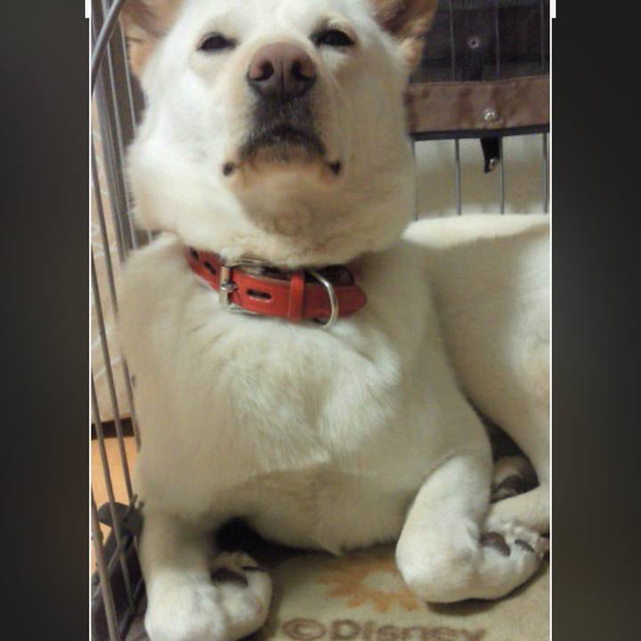 61325b7a 26d2 4d46 93af b6ca169ca248