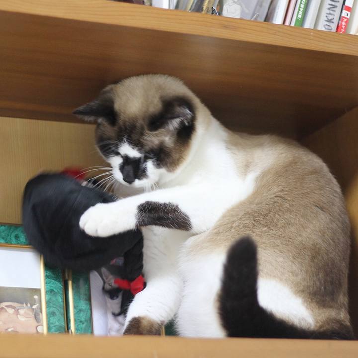 6132c221 80e5 45e8 ac8c f763da7d3ae1