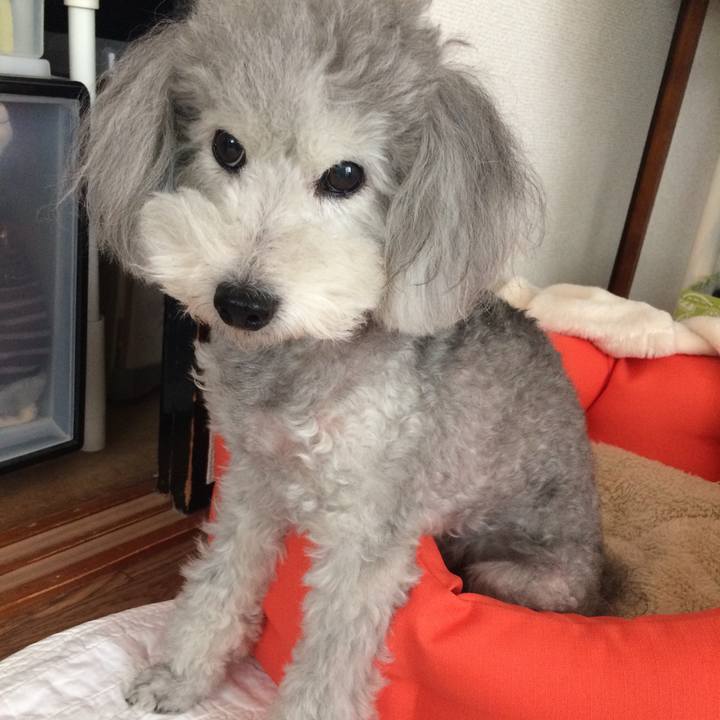 61330750 ff2f 4444 96f2 0dad14f428e0