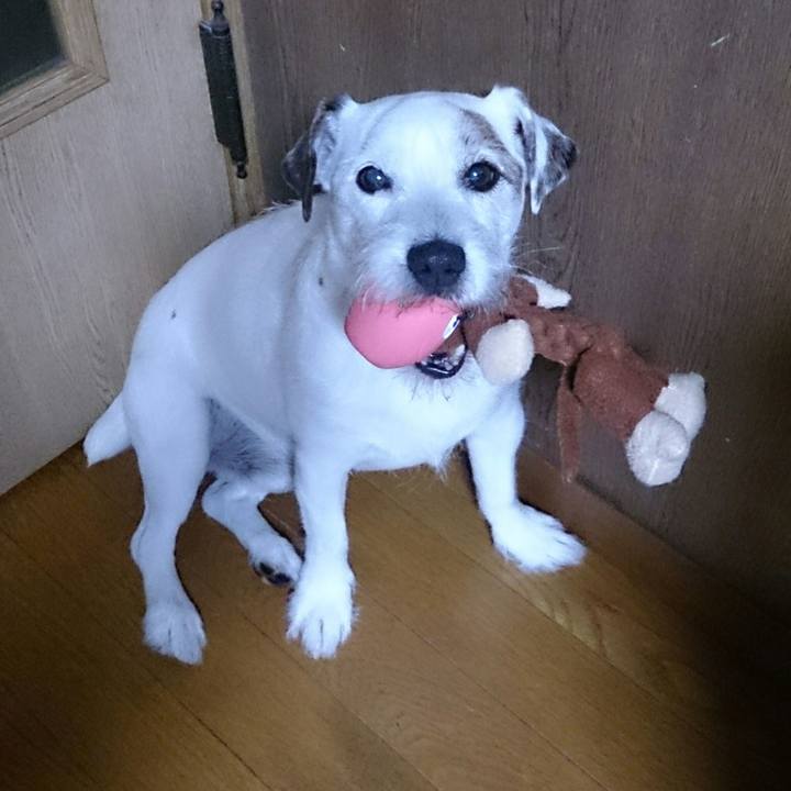 6133dbee 0fdd 453d aab7 afb76e6e22f3