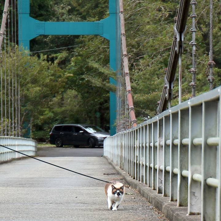 6133f169 d3e9 4f9c be10 df237b100875