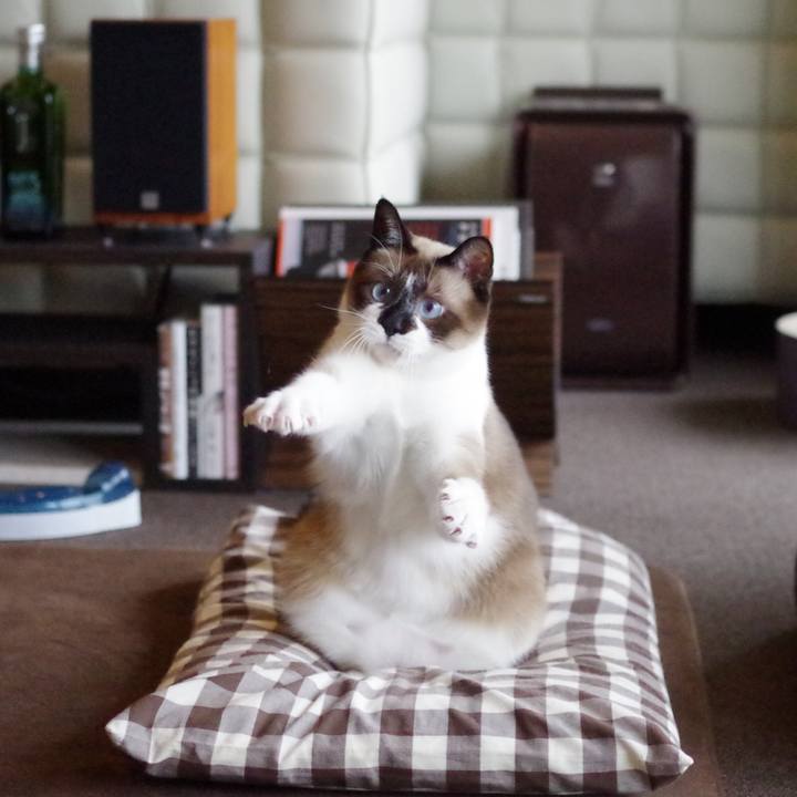 61343c30 ac35 4368 a38e 37edbf290a16