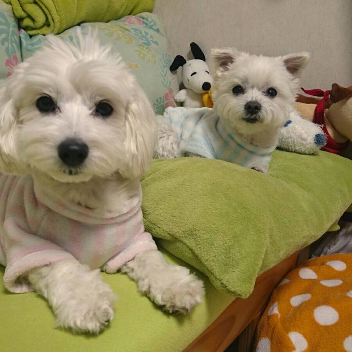 613448b8 d3d5 48e1 bc9b 605dfca6262f