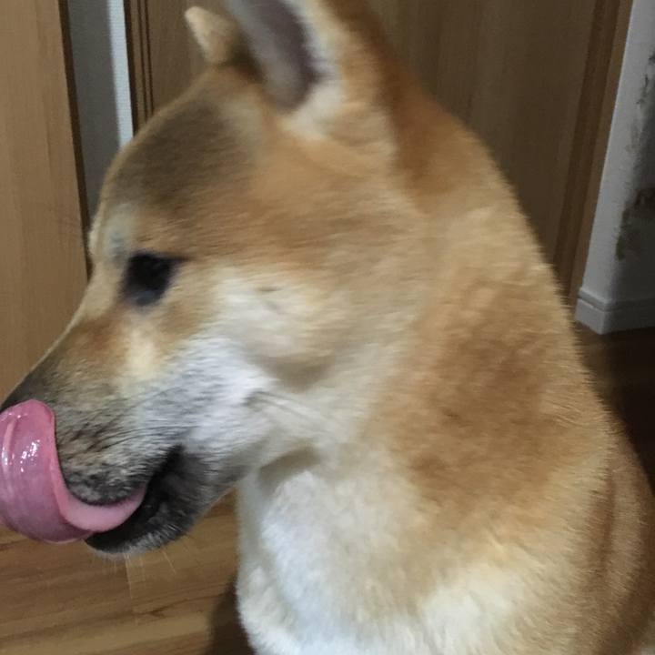 6134a0c7 6c05 4cf9 a9dc 397ff1abbda7