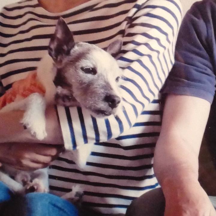 61354307 f7f2 4d36 8422 58fc12013e0a