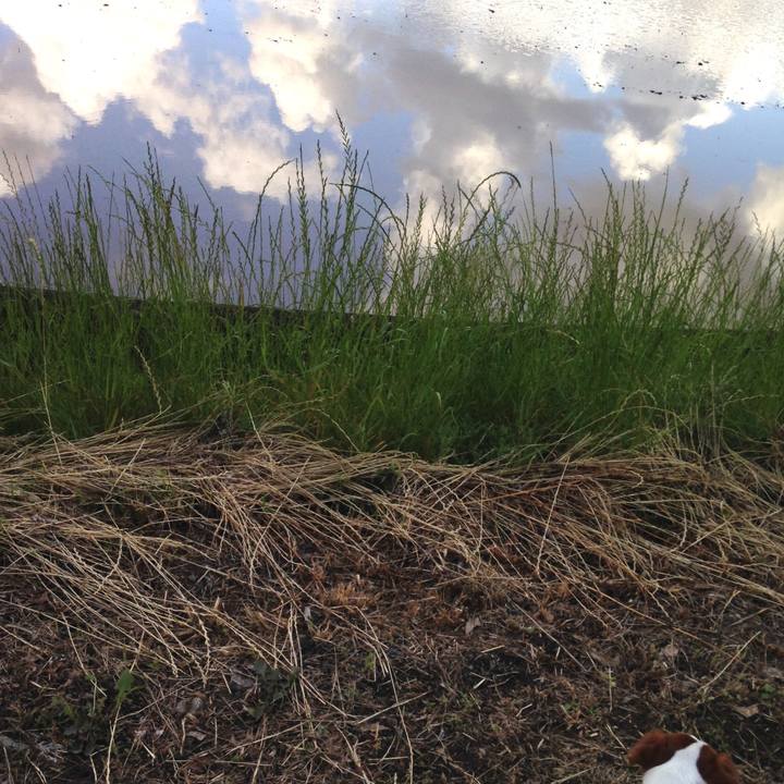 6136288c 1fb6 44e4 865b 24849acdf603