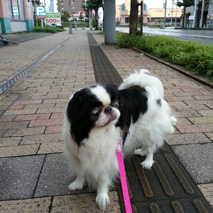 6136354c 503f 4214 8e99 c8d33b3f0d4d