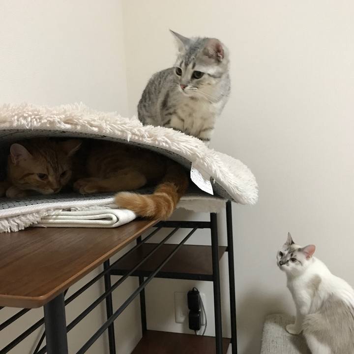 61365e31 bac5 483f 9626 d329657ecb70