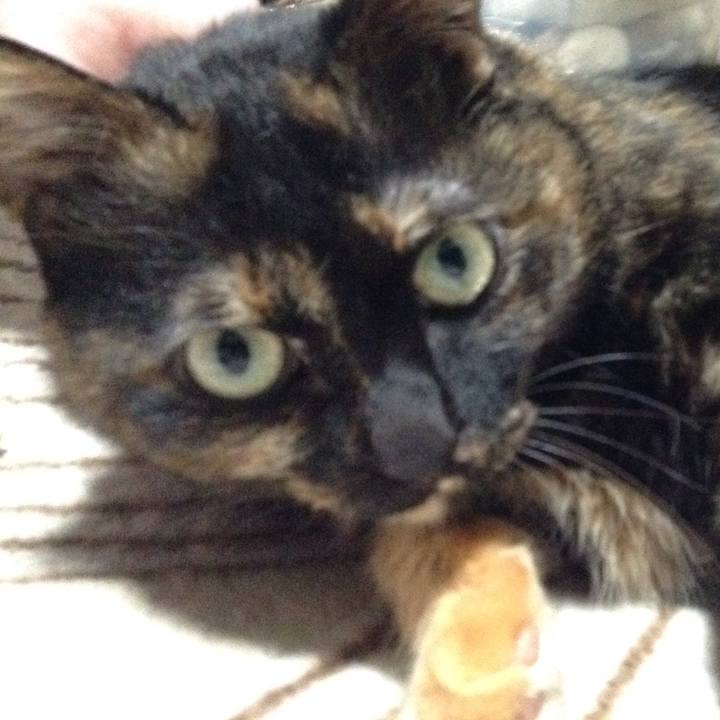 6136948b 76c3 4706 8150 62bc0684aa50