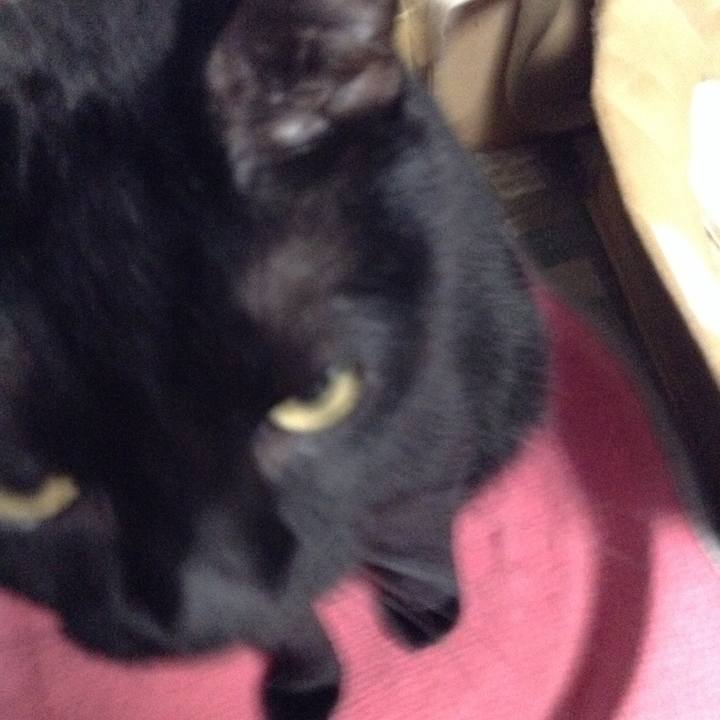 61369da6 0498 4a81 9098 fe874d62ec76