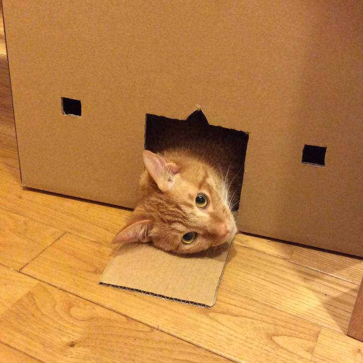 6136c47c 19c9 4c32 aa75 7a82e75b6d3b