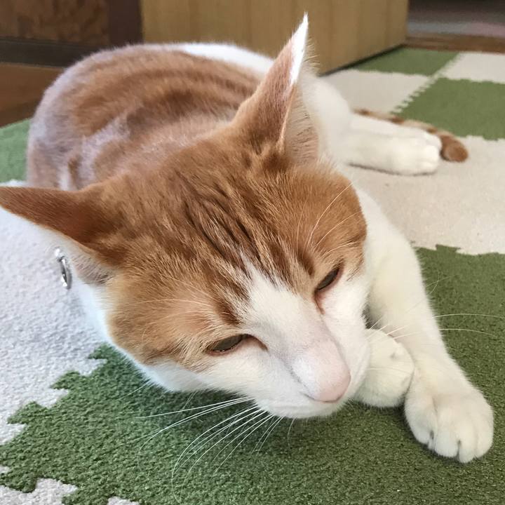 6136d74f 2af6 443f 9c1a 25fdfd208019