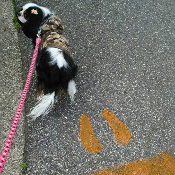 6137ca3f 71af 4237 98ad b46c1da34fc4