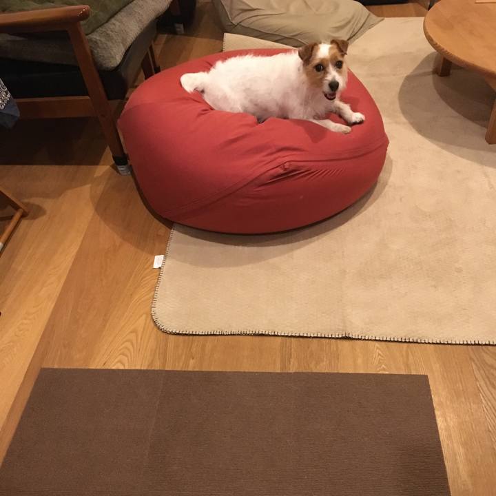 61384df2 2878 41f1 a52c f5ea7be562b7