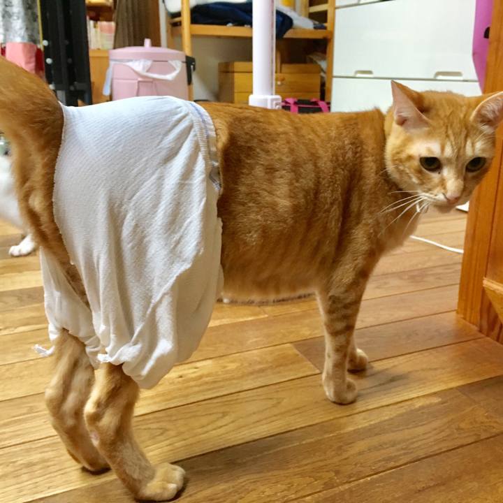 6138635e b9be 4c26 a639 b8a3e492f8ef