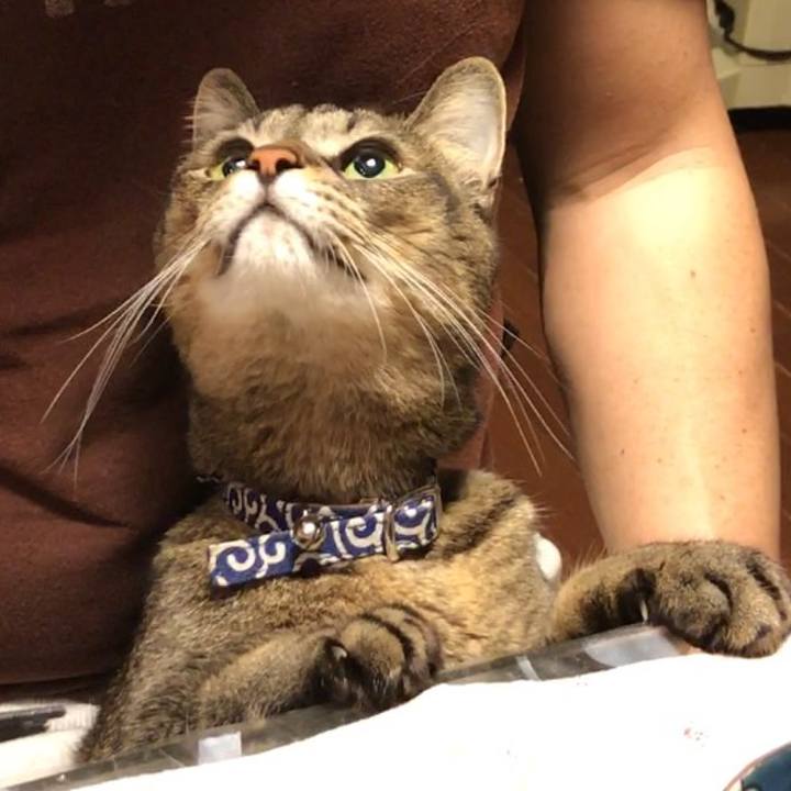 6138a0a5 0dac 4555 b96e 7f64d8797905