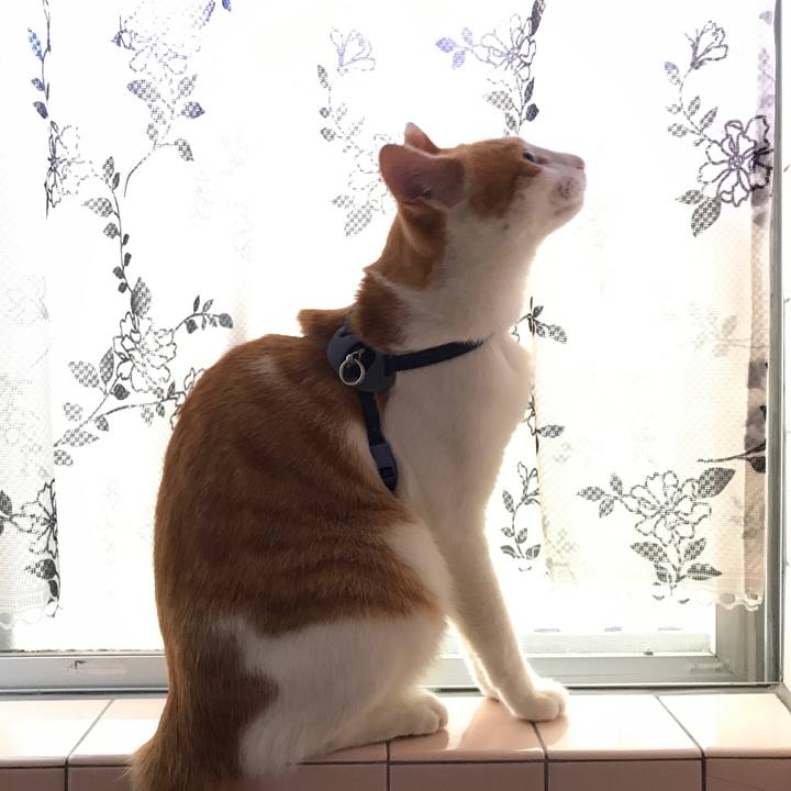 6138b30f f5e7 45f9 8238 a44fdc20458f