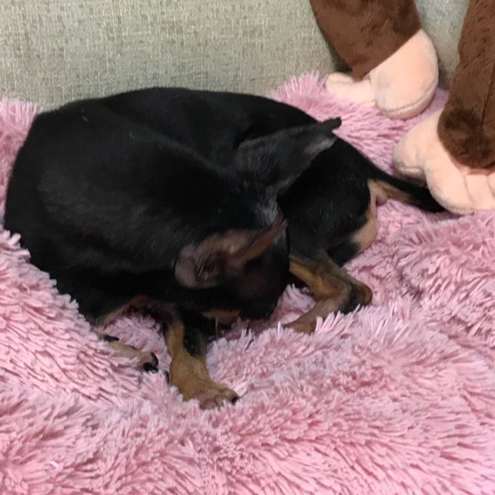 61394746 950a 4d0a 80df 0114f8441d4f