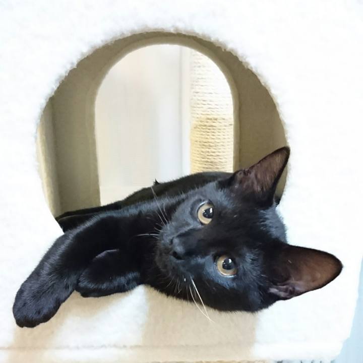 6139d2a6 38a1 44aa 8da0 683fd88376fd