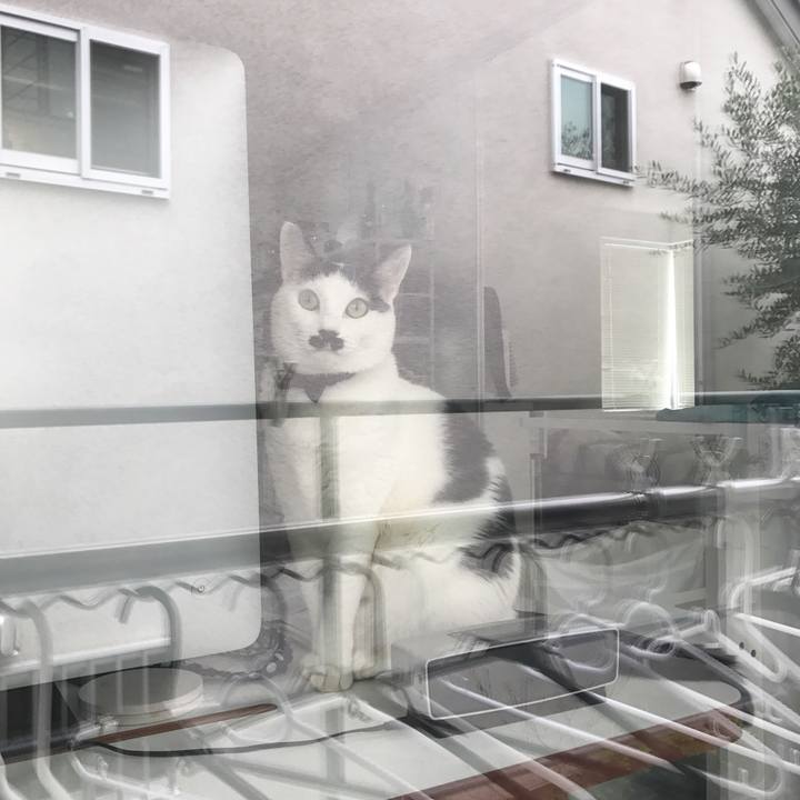 6139d422 9b03 42f0 a8b8 4facd6b7a57e