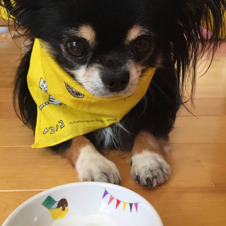 613a4b54 cc7e 441c 928e 9319ab84c6b8