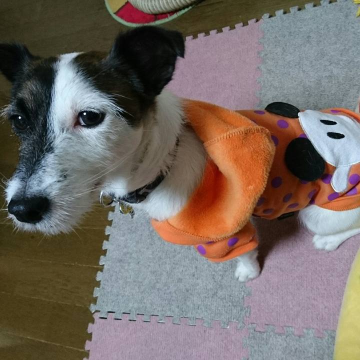 613a9f6c f0a6 4e9e 851d 6d67e7d4d693